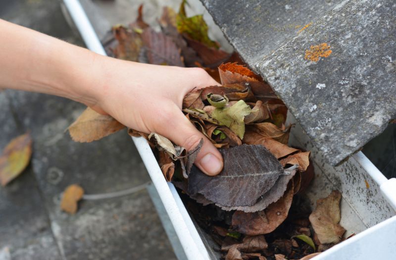 Commercial Gutter Cleaning in Mcdonough, GA