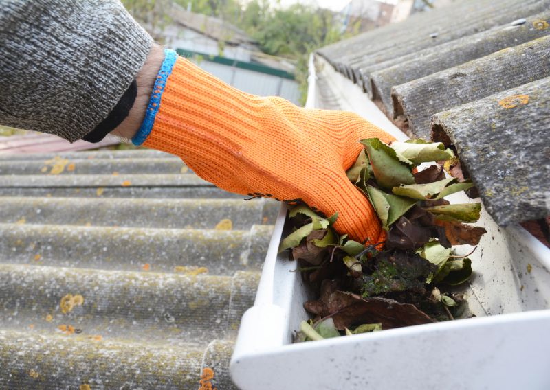Commercial Gutter Cleaning in Mcdonough, GA