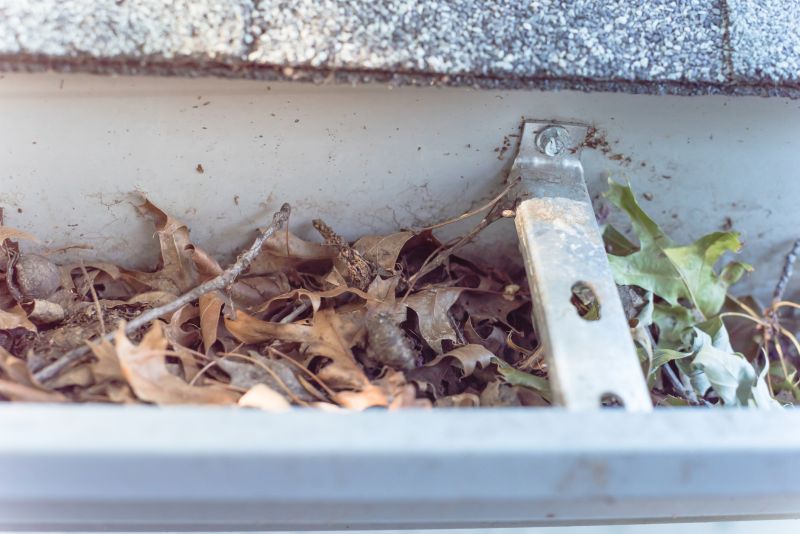 Clogged Gutter with Leaves