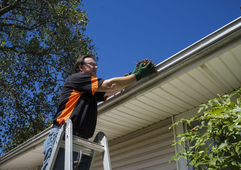 Professional Gutter Clearing