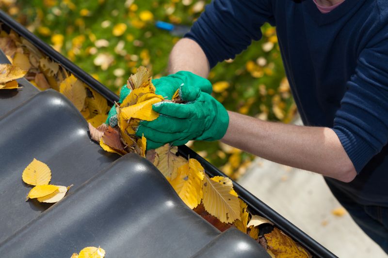 Eavestrough Clearing in Rochester, NY